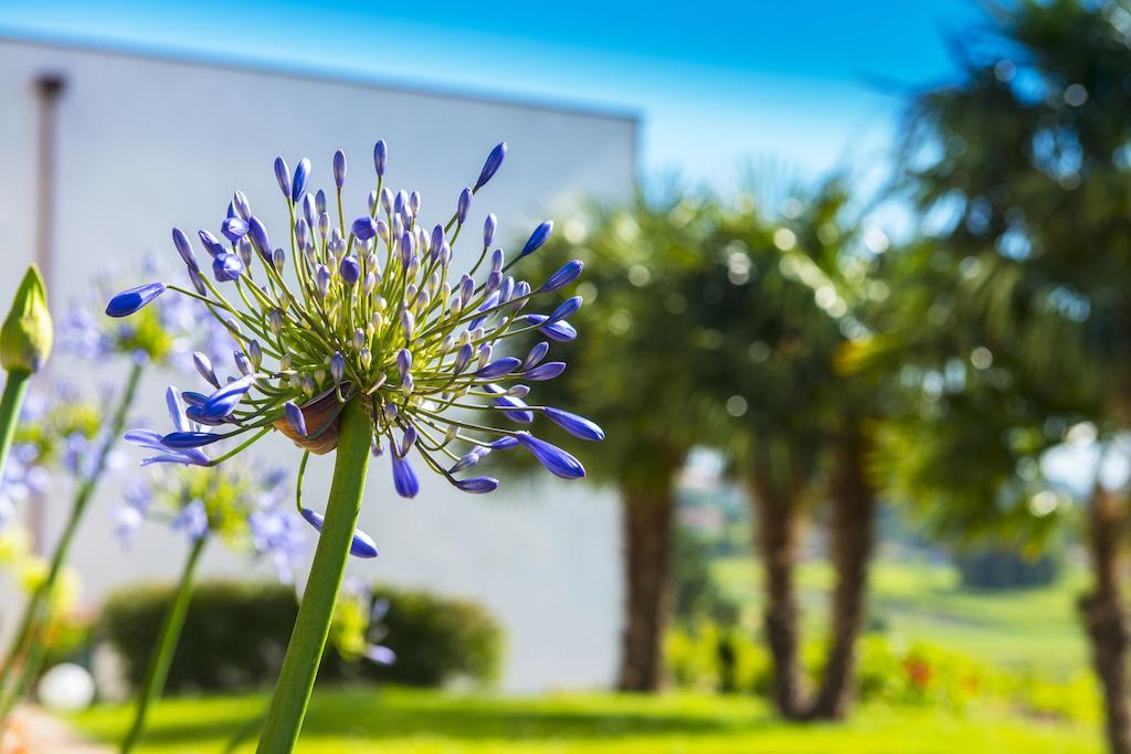 Quinta De San Amaro Rias Baixas Hotel Meaño Kültér fotó