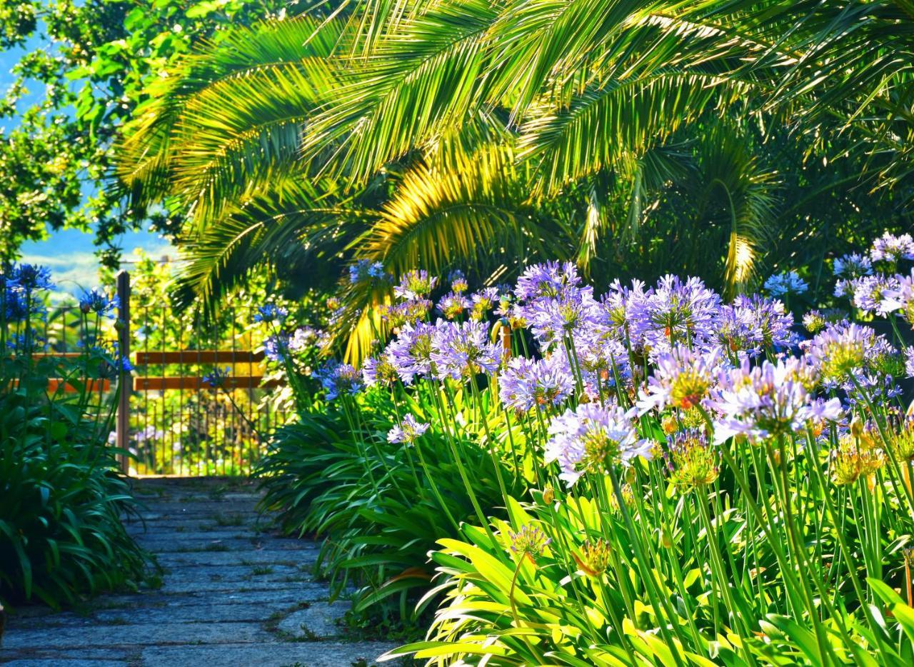Quinta De San Amaro Rias Baixas Hotel Meaño Kültér fotó